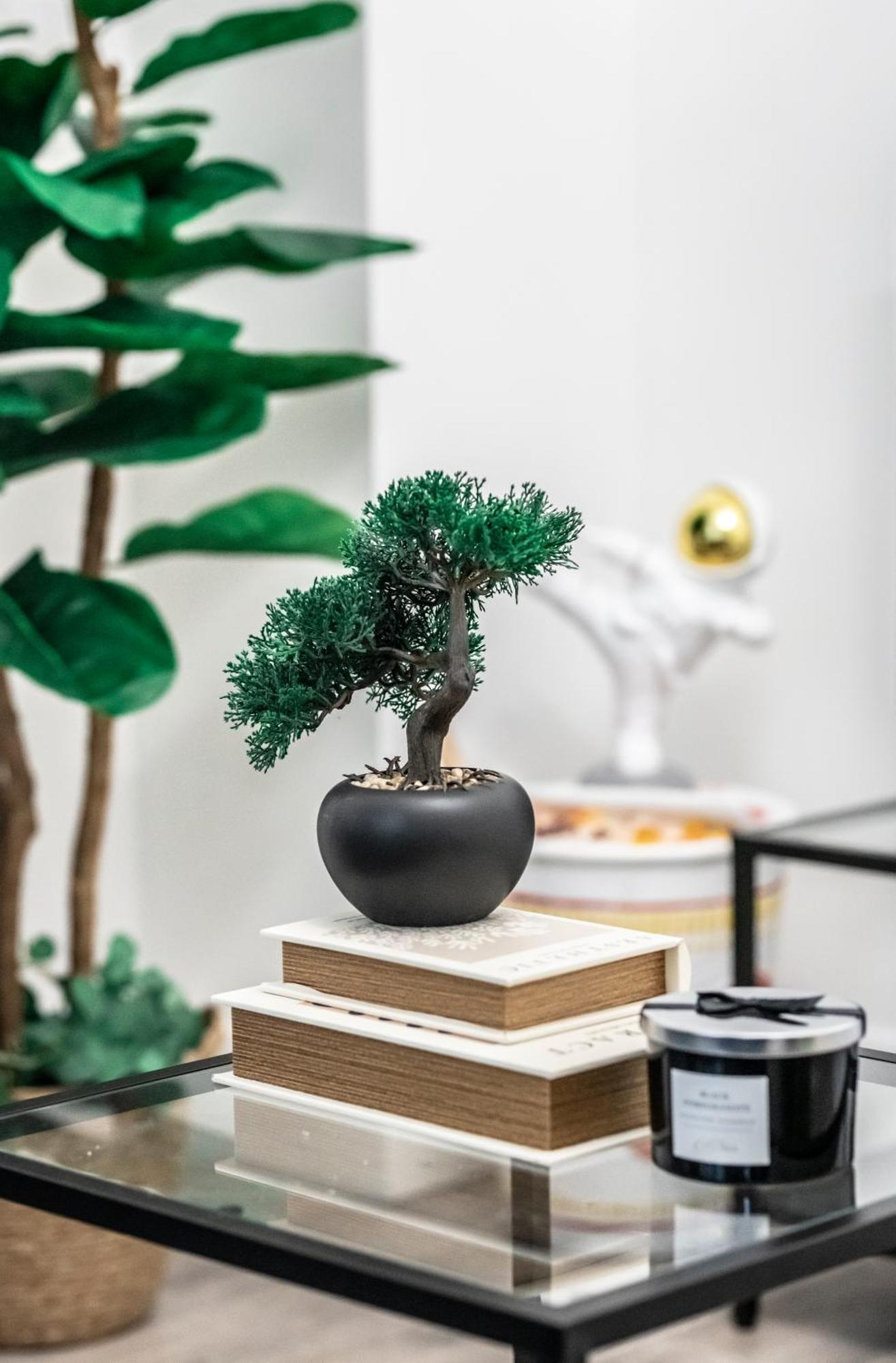 Camden Apartments ロンドン エクステリア 写真