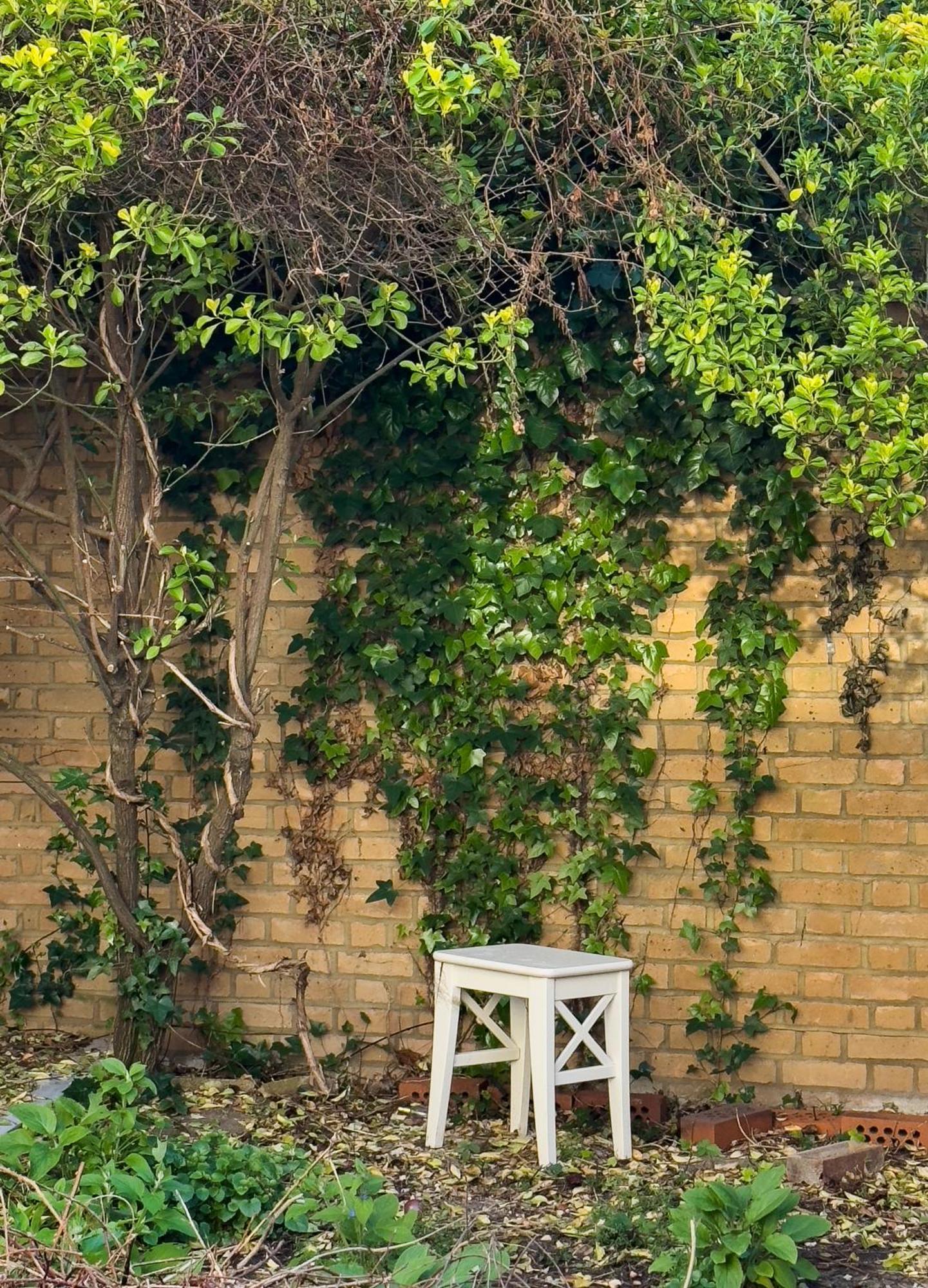 Camden Apartments ロンドン エクステリア 写真